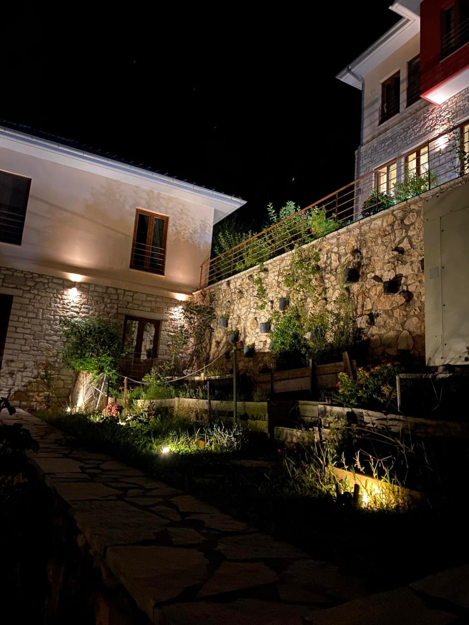 Arktos Hotel 约阿尼纳 外观 照片