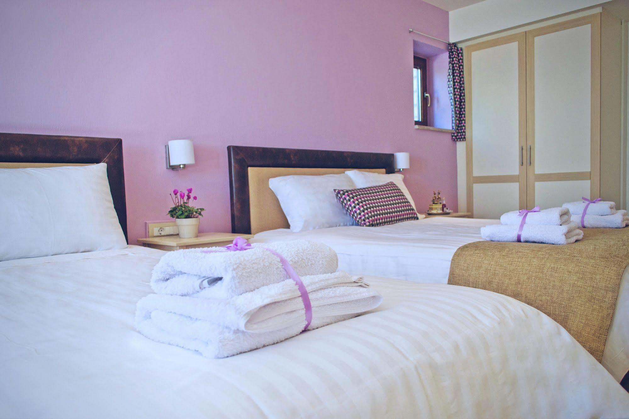 Arktos Hotel 约阿尼纳 外观 照片